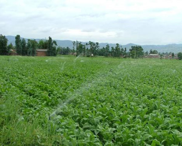 安康自动化灌溉