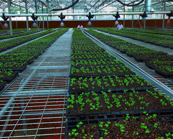钦州自动化灌溉